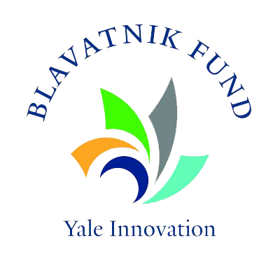 Blavatnik Fund Logo